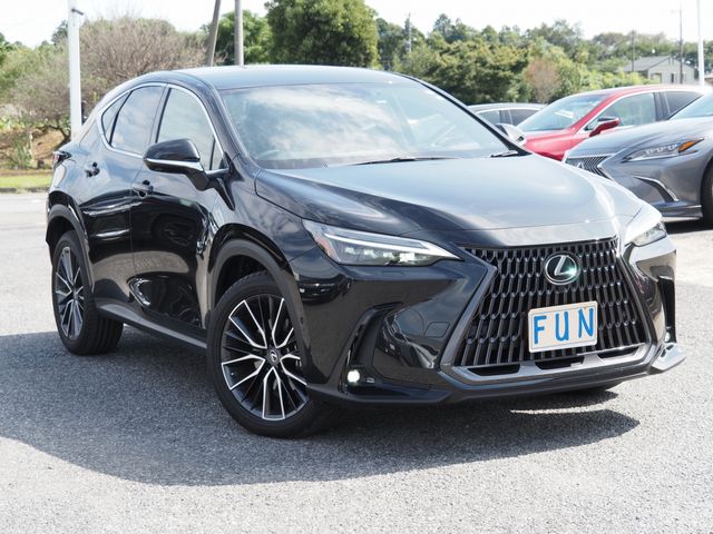 Lexus NX 2023-02 14876-2