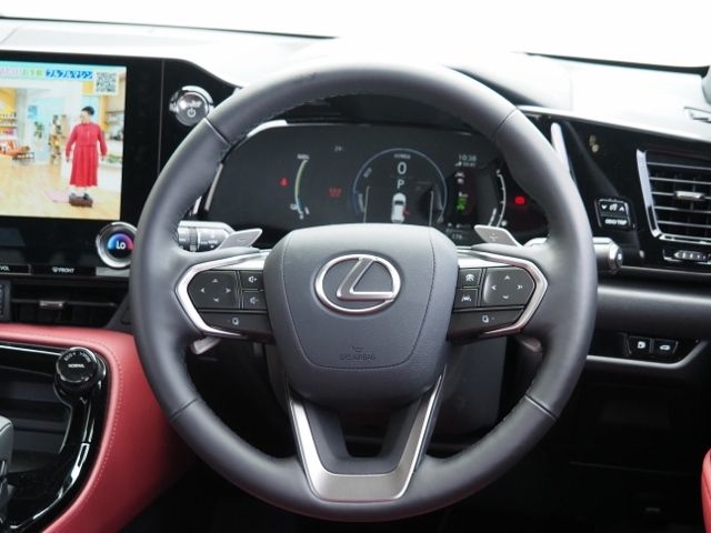 Lexus NX 2023-02 14876-17