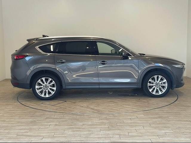 Mazda CX-8 2018-04 13120-15