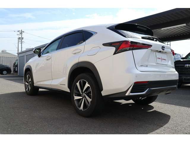 Lexus NX 2018-03 792-11