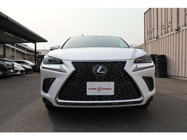 Lexus NX 2018-03 792-1