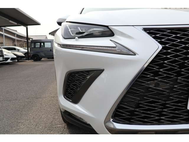 Lexus NX 2018-03 792-4