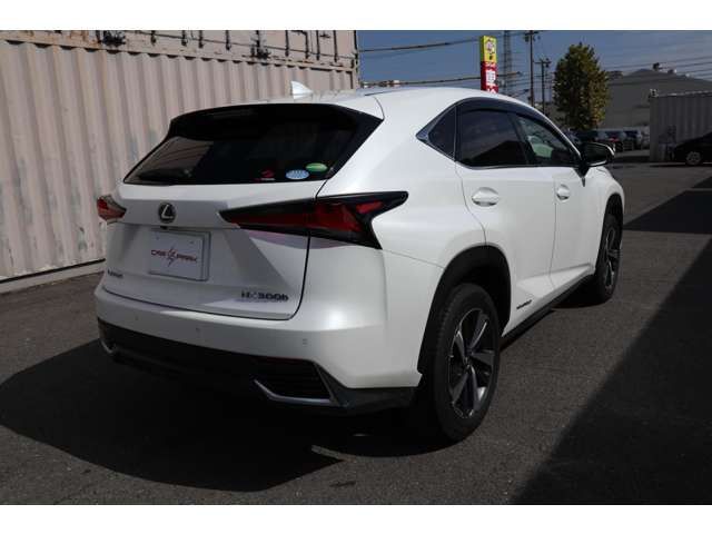 Lexus NX 2018-03 792-7