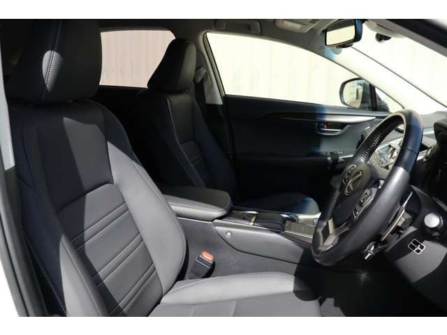 Lexus NX 2018-03 792-16
