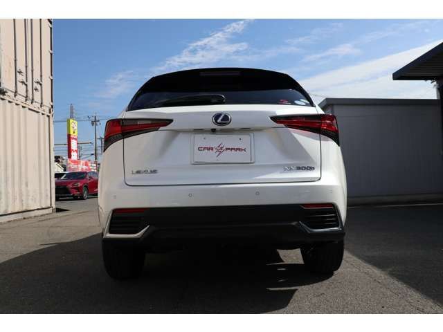 Lexus NX 2018-03 792-15