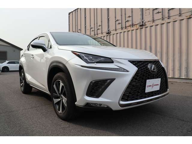 Lexus NX 2018-03 792-2