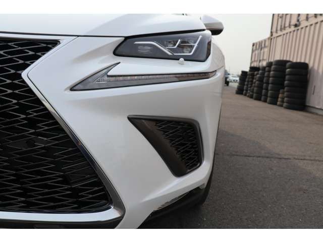 Lexus NX 2018-03 792-5