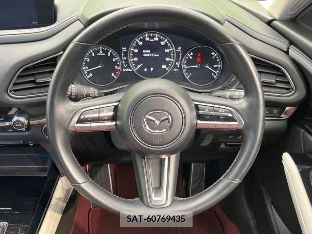Mazda CX-30 2021-03 265583-11