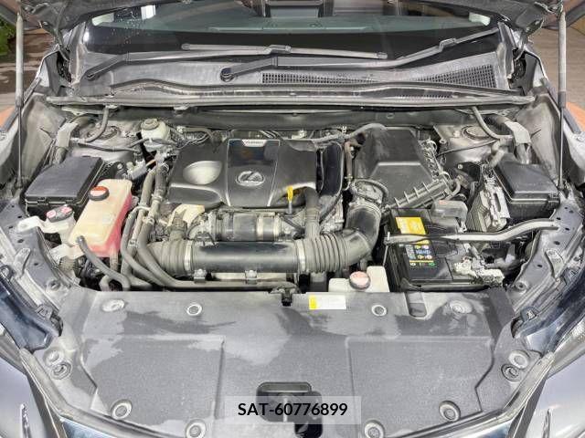 Lexus NX 2015-08 234767-18