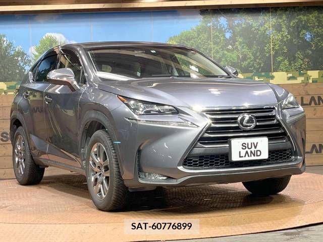 Lexus NX 2015-08 234767-16