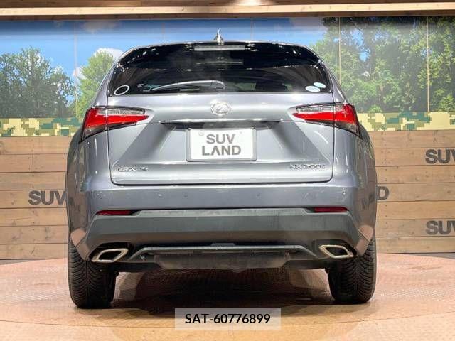 Lexus NX 2015-08 234767-15