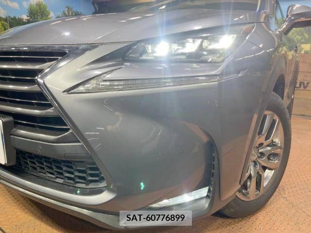 Lexus NX 2015-08 234767-12