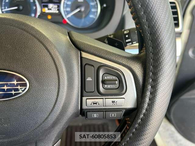 Subaru SUBARU 2016-10 304199-10