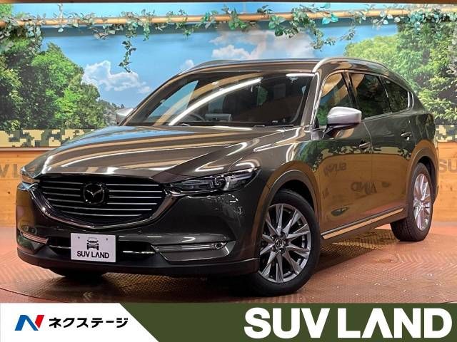 Mazda CX-8 2020-09 22708-0