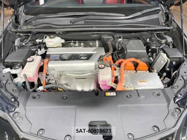 Lexus NX 2019-07 354266-18