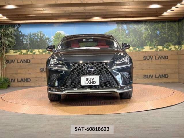 Lexus NX 2019-07 354266-14