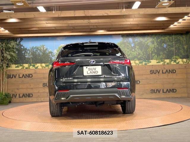 Lexus NX 2019-07 354266-15