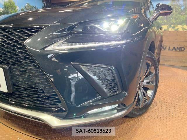 Lexus NX 2019-07 354266-12