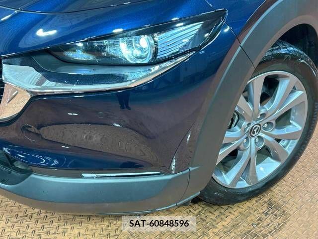 Mazda CX-30 2022-01 302119-12