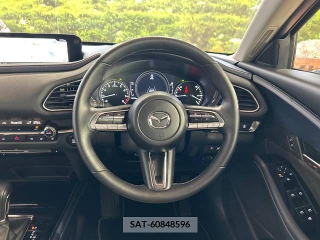 Mazda CX-30 2022-01 302119-11