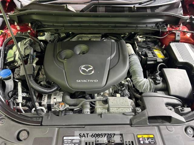 Mazda CX-8 2022-01 381261-19