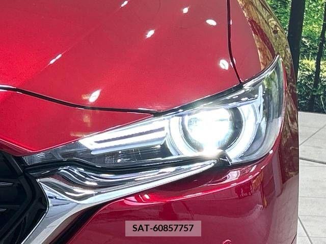 Mazda CX-8 2022-01 381261-13