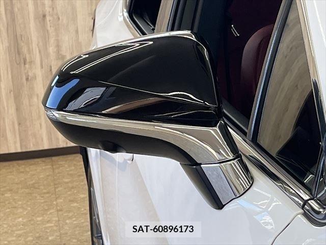 Lexus RX 2018-05 334387-27