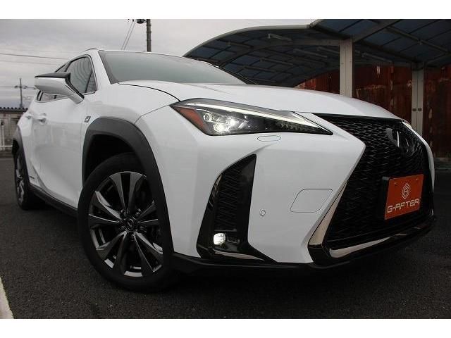 Lexus UX 2021-02 194233-10