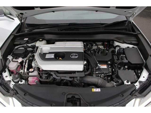 Lexus UX 2021-02 194233-17