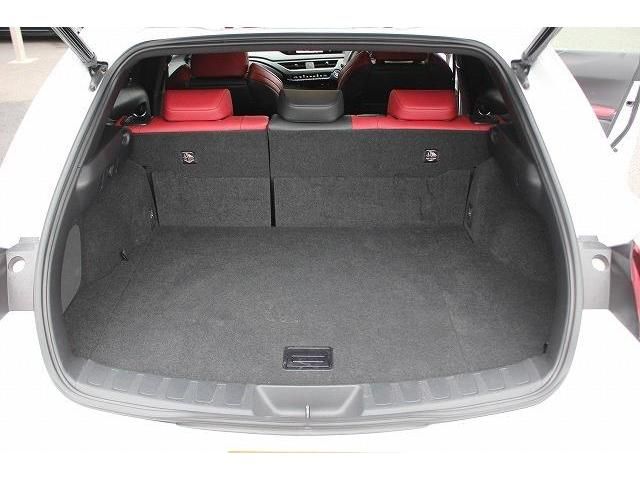 Lexus UX 2021-02 194233-16