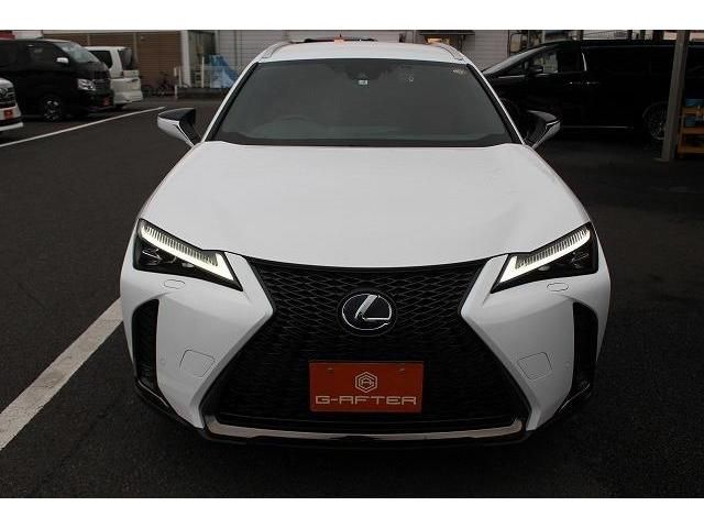 Lexus UX 2021-02 194233-5