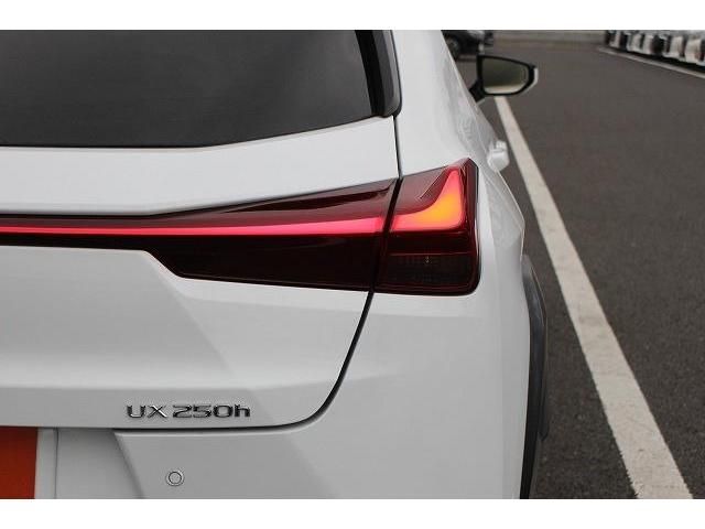 Lexus UX 2021-02 194233-11