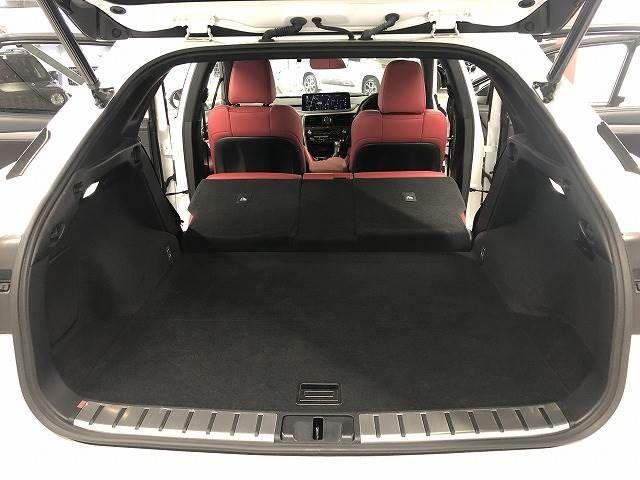 Lexus RX 2021-07 195991-12