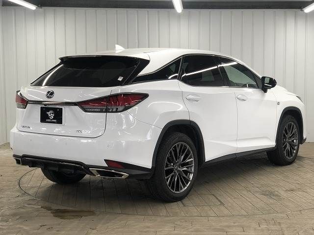 Lexus RX 2021-07 195991-15