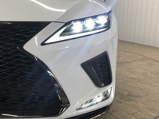 Lexus RX 2021-07 195991-19