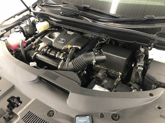 Lexus RX 2021-07 195991-17