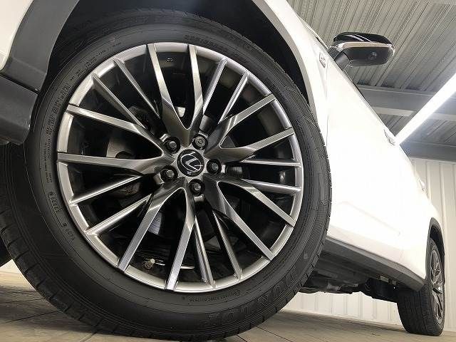 Lexus RX 2021-07 195991-18