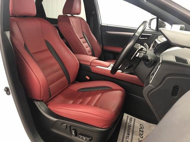Lexus RX 2021-07 195991-3