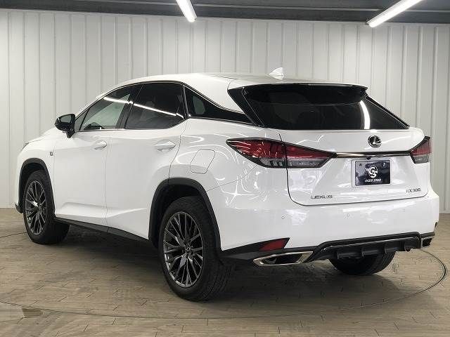 Lexus RX 2021-07 195991-16