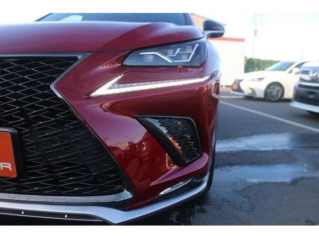 Lexus NX 2017-11 5292-6
