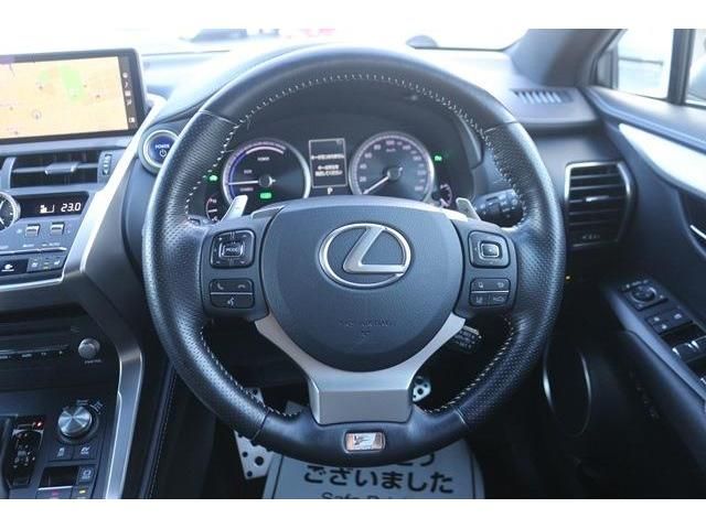 Lexus NX 2017-11 5292-13