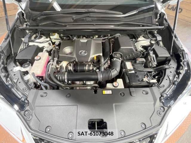 Lexus NX 2019-06 275688-13