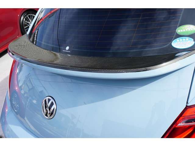 VolksWagen THE BEETLE 2012-12 196491-11
