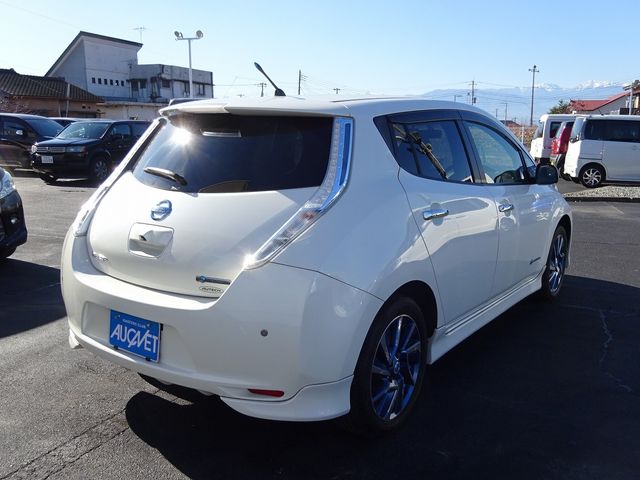 Nissan LEAF 2014-03 180633-1