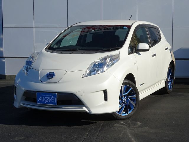 Nissan LEAF 2014-03 180633-0