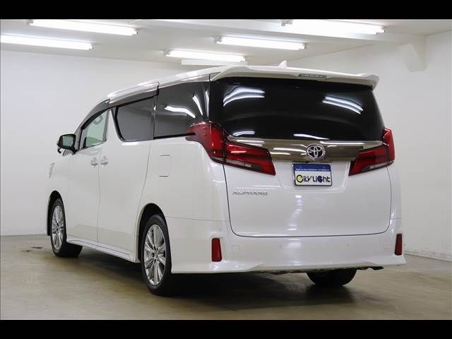 Toyota ALPHARD 2020-12 14236-19