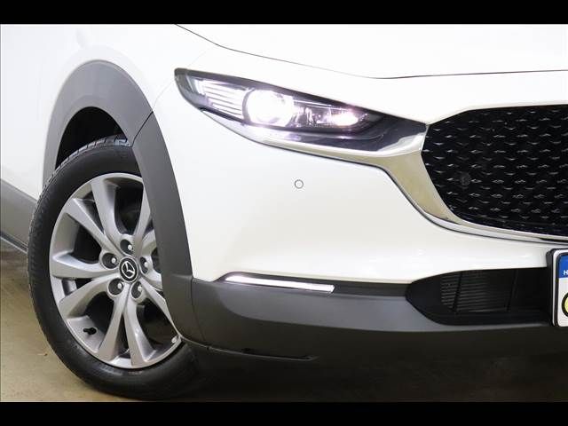 Mazda CX-30 2021-11 22419-22
