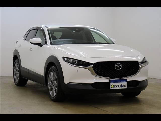 Mazda CX-30 2021-11 22419-17