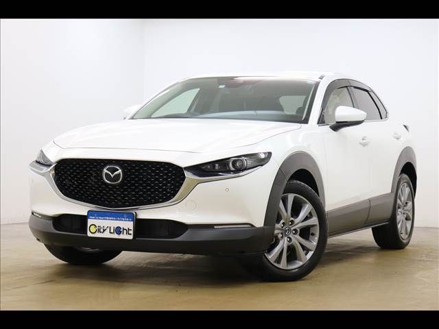 Mazda CX-30 2021-11 22419-16