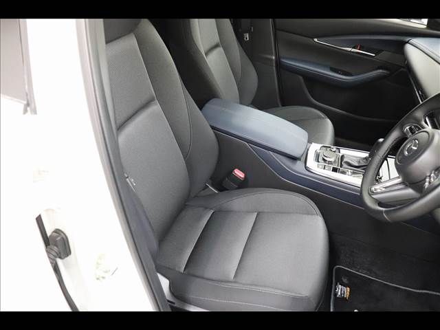 Mazda CX-30 2021-11 22419-10